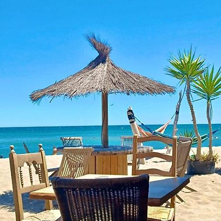 T3 Grande Terrasse Bord De Mer Le Barcarès المظهر الخارجي الصورة