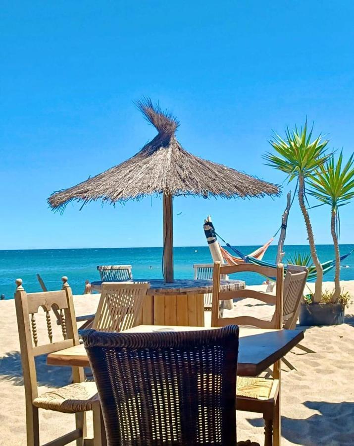 T3 Grande Terrasse Bord De Mer Le Barcarès المظهر الخارجي الصورة